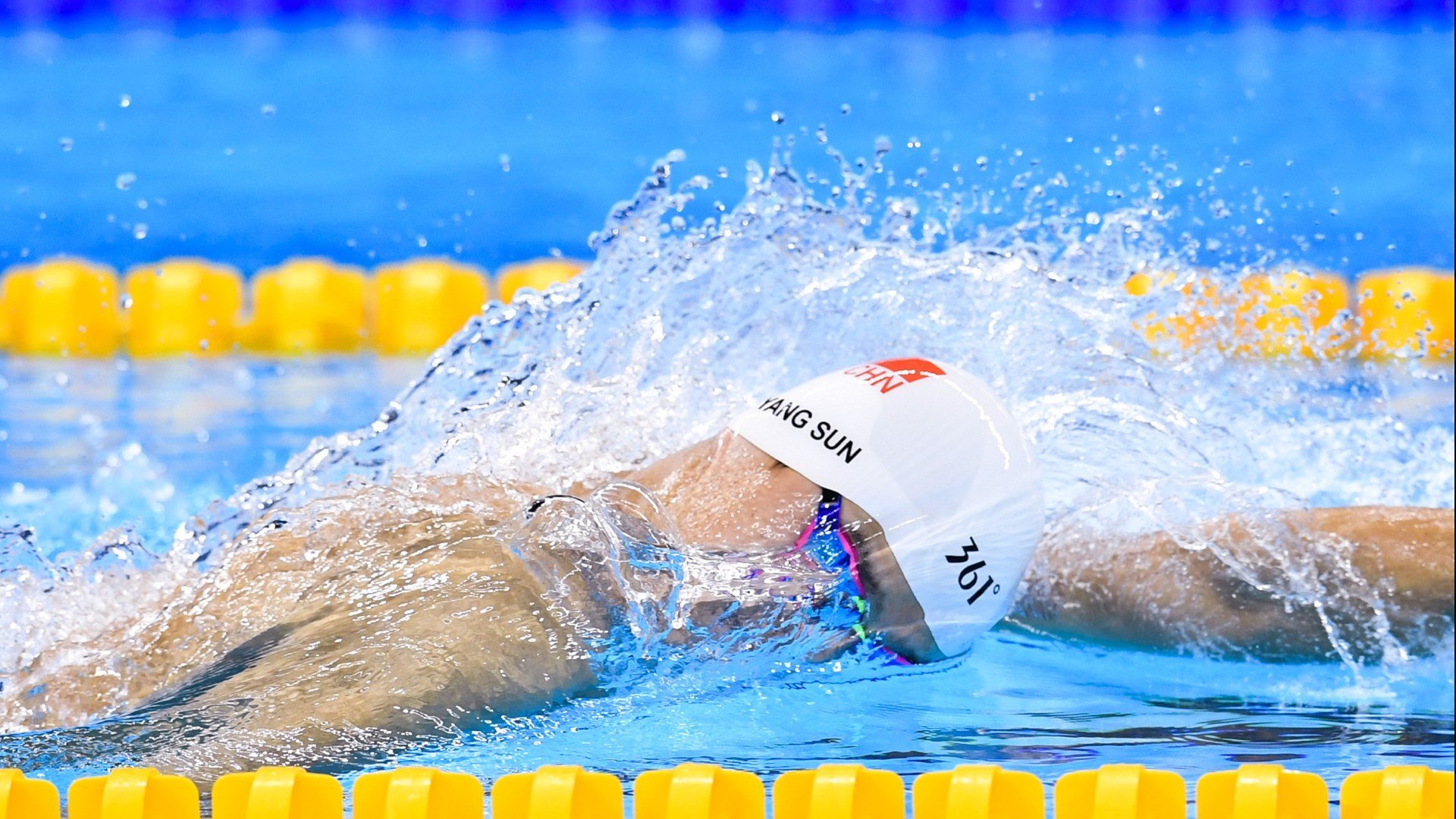 体育明星年度总结